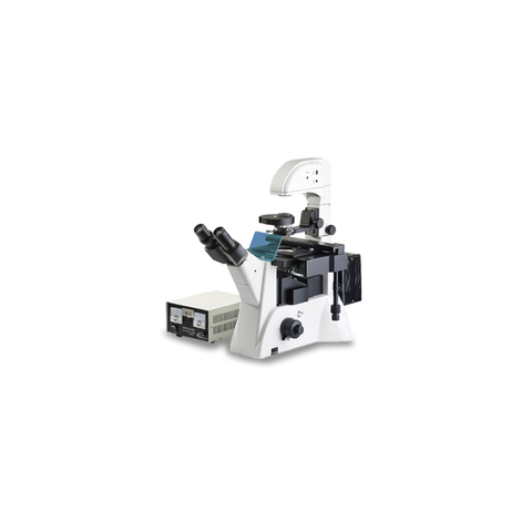 Fluorescence Microscope TH-YGD