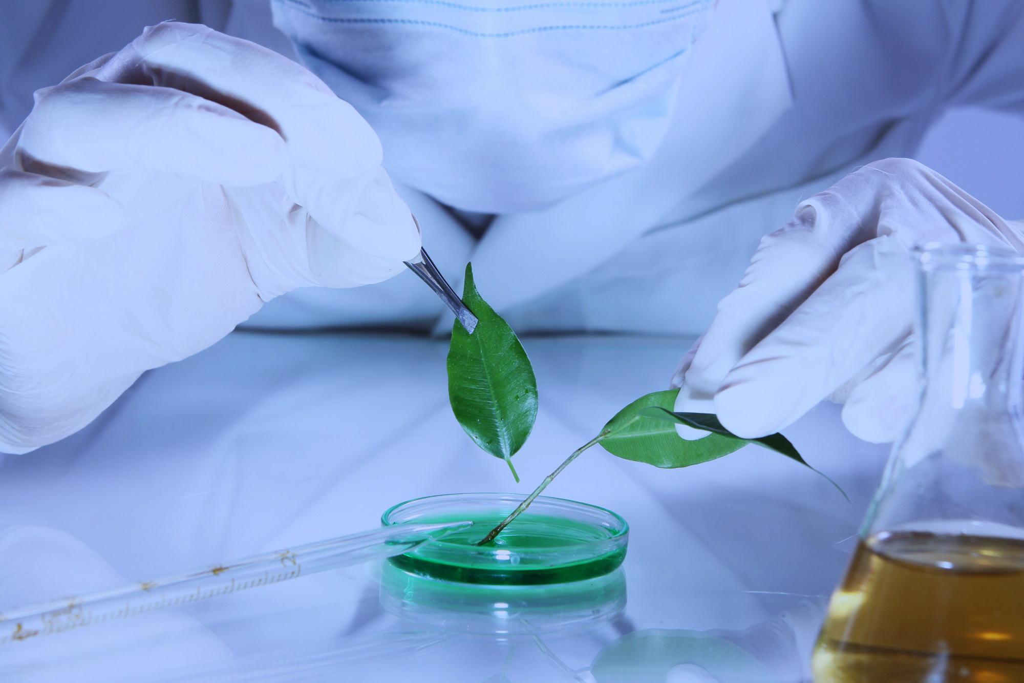 Food quality control