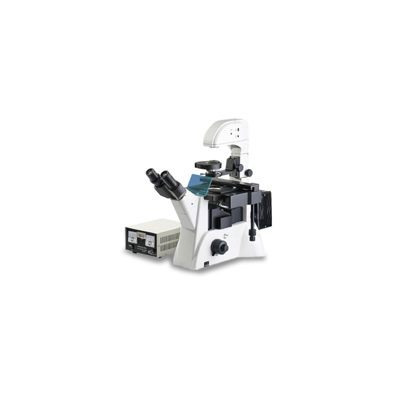 TH-YGD Fluorescence Microscope