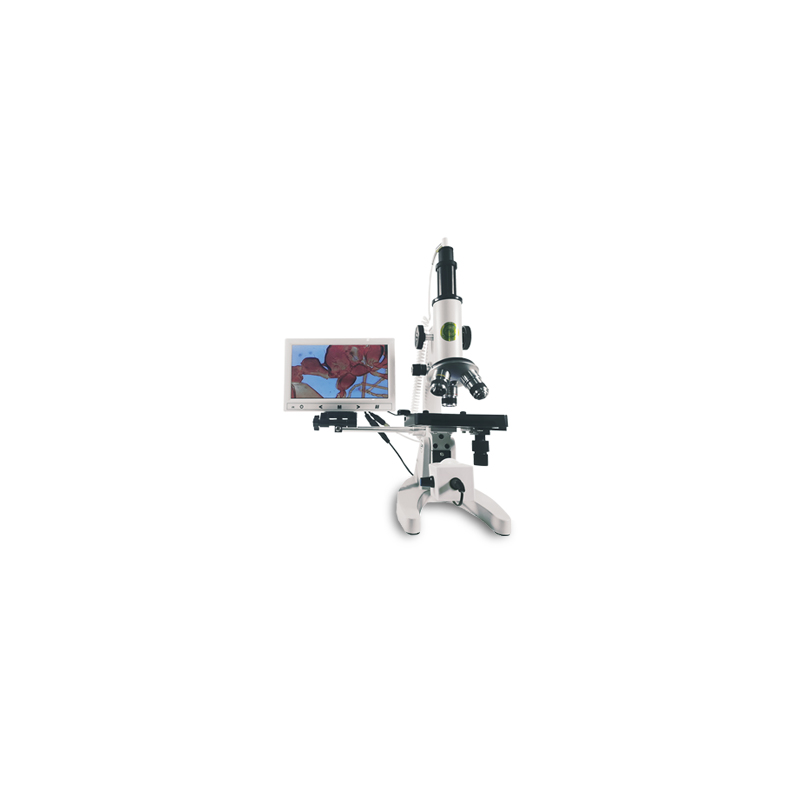 TP-00 Series Biological Microscope