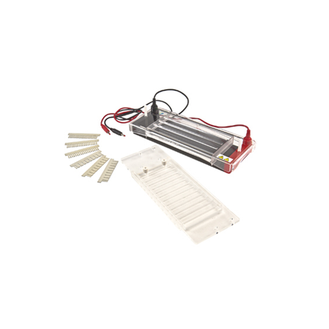 Vertical Electrophoresis Gel Tank