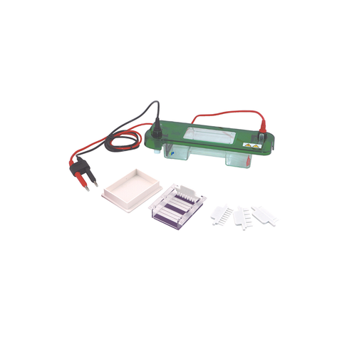 TP-SPAT Horizontal Electrophoresis Cell