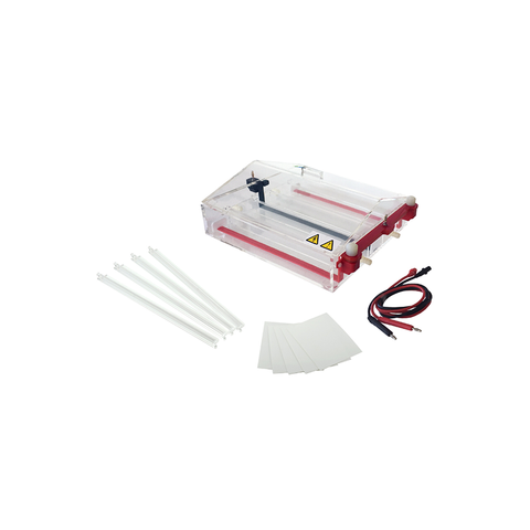 Double-bridge Cellulose Acetate Membrane Electrophoresis