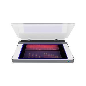 UV LED Transilluminator