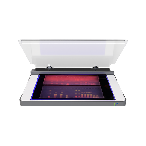 UV LED Transilluminator