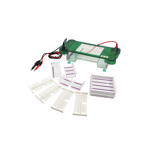 TP-SPCT Horizontal Electrophoresis
