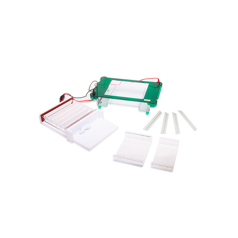 TP-SPGT Horizontal Electrophoresis Cell
