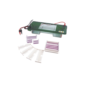 TP-SPDT Horizontal Electrophoresis Cell