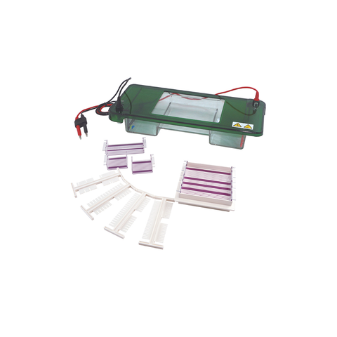 TP-SPDT Horizontal Electrophoresis Cell