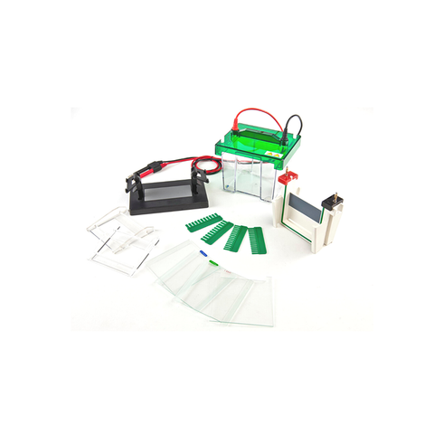 Mini-Protean Vertical Electrophoresis Cell