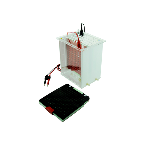 Tank Transfer System