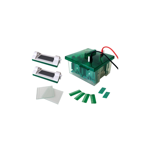 Vertical Mini Protean Electrophoresis Cell