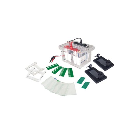 Mini-Protean Electrophoresis Cell