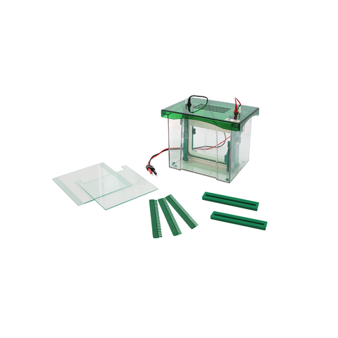 Vertical Gel Electrophoresis Cell