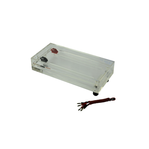 Isoelectric Focusing Electrophoresis