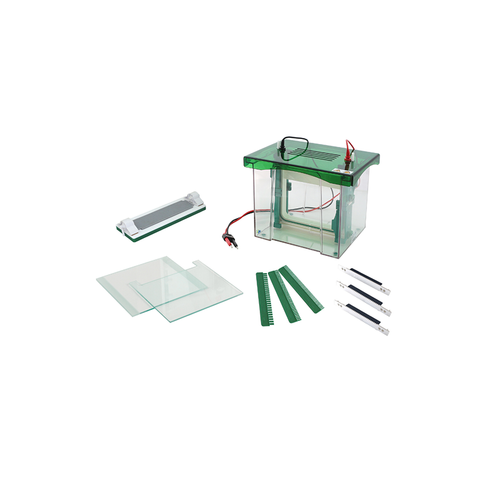 Rapid SSR Vertical Electrophoresis Tank