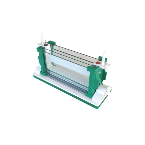 Rapid SSR Vertical Electrophoresis