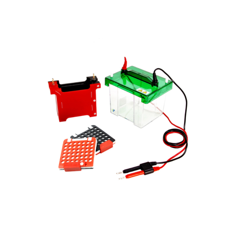 Western Blotting System