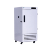 Vertical Low-temperature Freezer