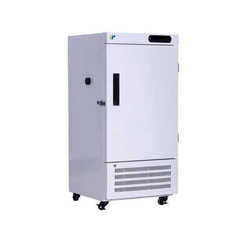 Vertical Low-temperature Freezer
