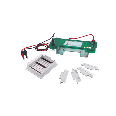 TP-SPBT Horizontal Electrophoresis