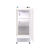 Vertical Low-temperature Freezer