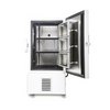 Cold Storage